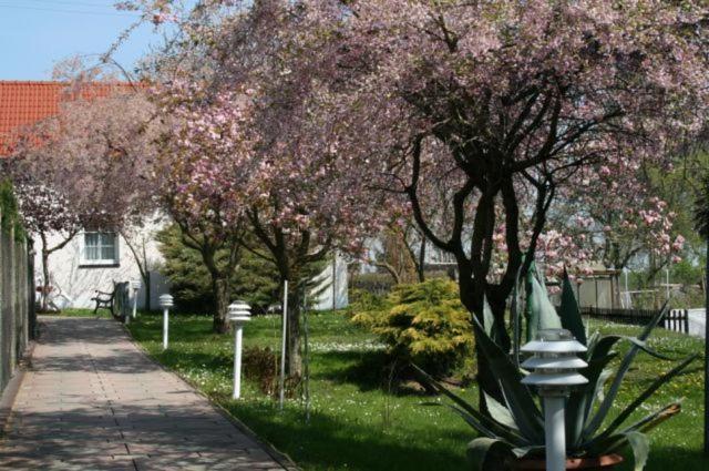 Familienhotel Zur Linde Panschwitz-Kuckau Εξωτερικό φωτογραφία